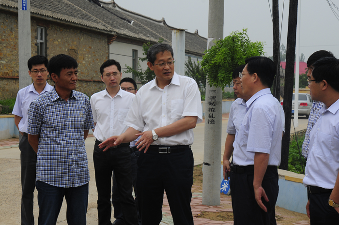 赵阳深入联系点调研宜居乡村建设情况