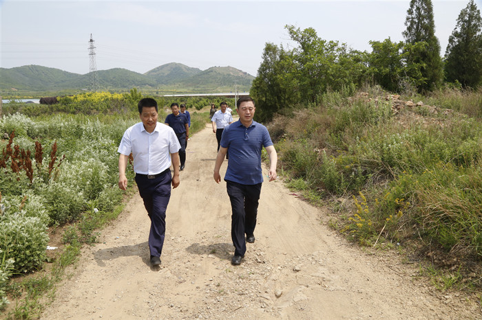 周振雷深入李官镇督导检查工作